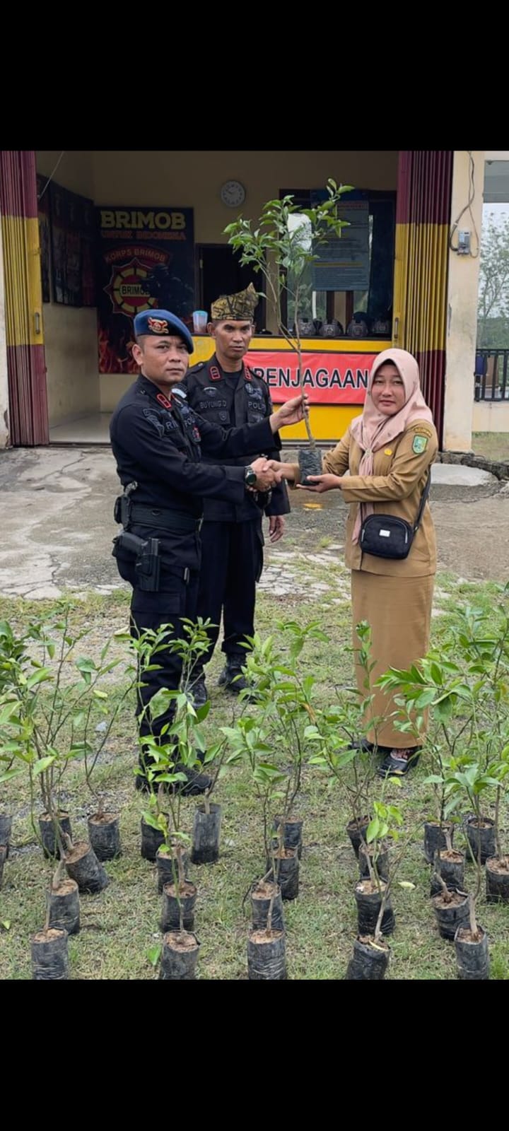 Sambut HUT Brimob Ke-77, Batalyon C Pelopor Batang Gansal Gelar Donor Darah dan Berikan Bantuan Bibit Jeruk Untuk Dusun Terpencil