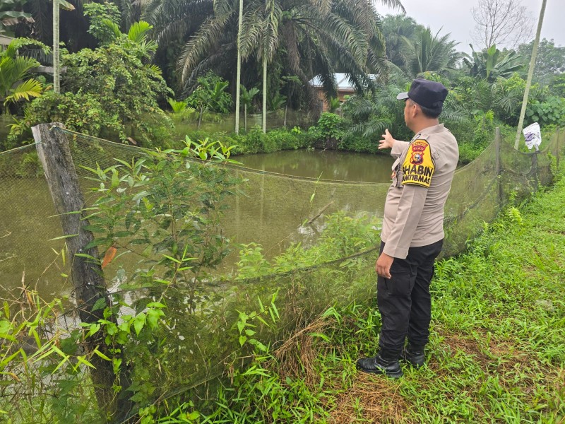 Lewat Budidaya Ikan, Bhabinkamtibmas Desa Petala Bumi Perkuat Ketahanan Pangan Keluarga
