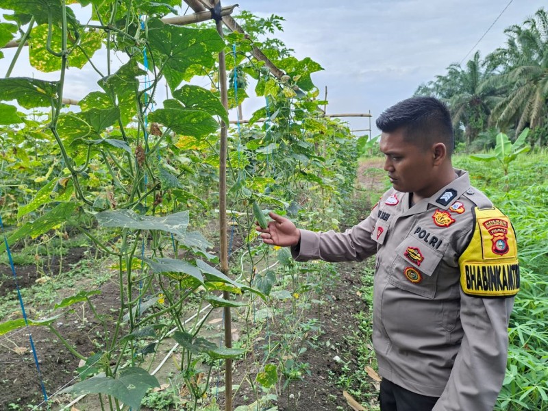 Pekarangan Bergizi di Desa Seberida Dukung Ketahanan Pangan, Polisi Lakukan Peninjauan
