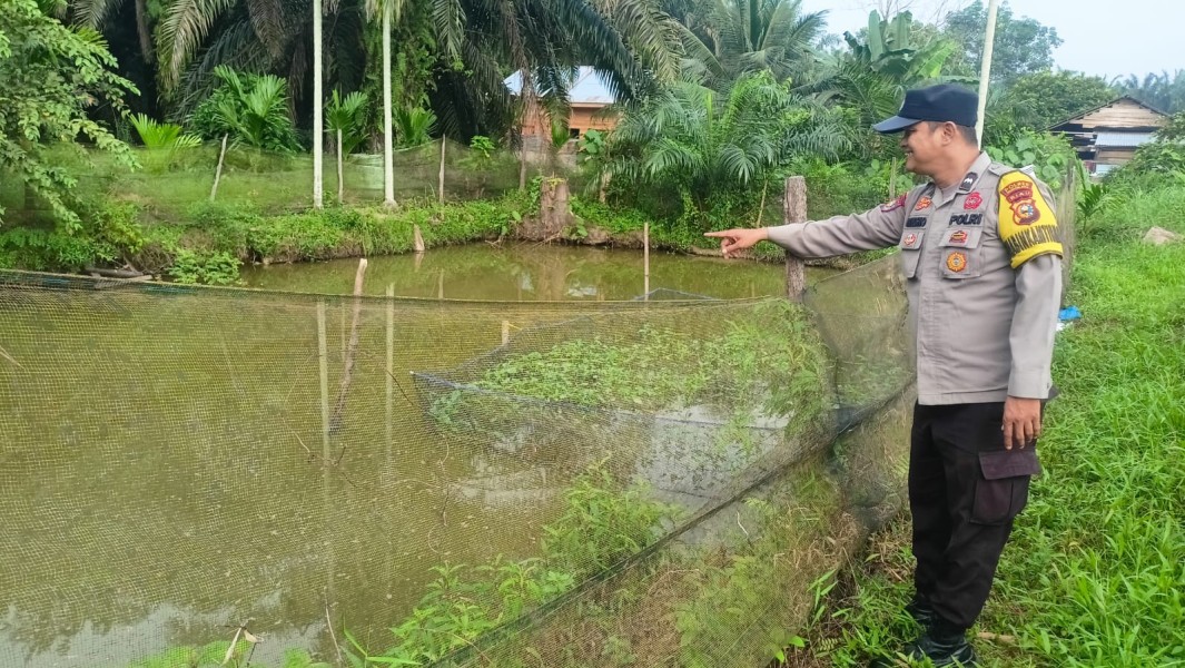 Polisi Sambangi Kolam Patin Warga, Ketahanan Pangan dari Pekarangan Mulai Digalakkan di Seberida