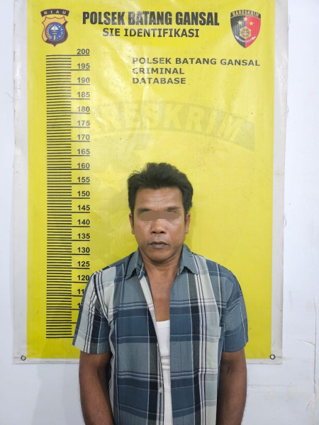 Gagahi Anak Tiri Berulang Kali, AS Dibekuk Polsek Batang Gansal