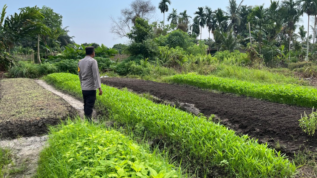 Saat Pekarangan Bicara Pangan: Bhabinkamtibmas Ajak Warga Tanam Cabai
