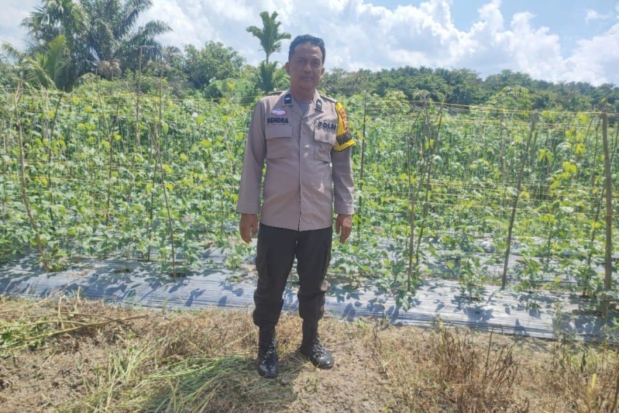 Bhabinkamtibmas Polsek Seberida Dorong Warga Manfaatkan Pekarangan untuk Ketahanan Pangan