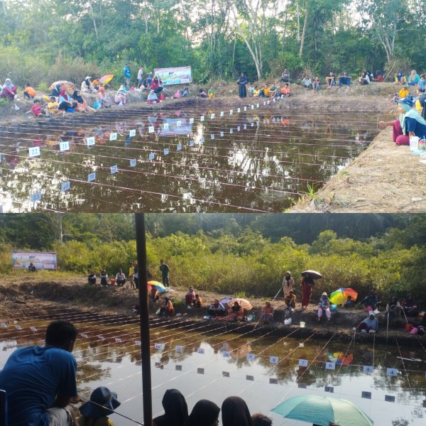 Zea Pakan Ternak dan Vikram, Menggelar Lomba Mancing Jenis Lele