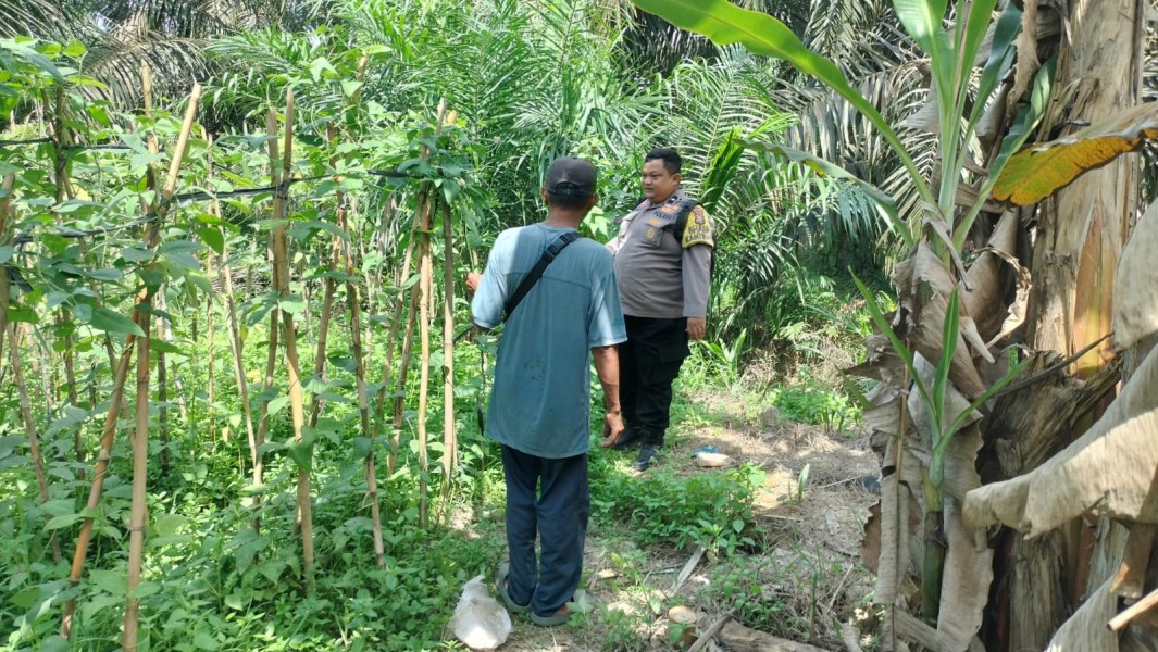 Lewat Sambang Warga, Bhabinkamtibmas Kelesa Kampanyekan Pemanfaatan Pekarangan Pangan