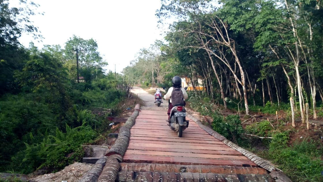Akhirnya Jembatan Darurat Desa Danau Tiga Inhu Gunakan Batang Kelapa Sudah Rampung
