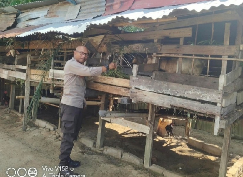 Dukung Ketahanan Pangan Nasional, Bhabinkamtibmas Polsek Seberida Sambangi Peternak Kambing di Desa Titian Resak