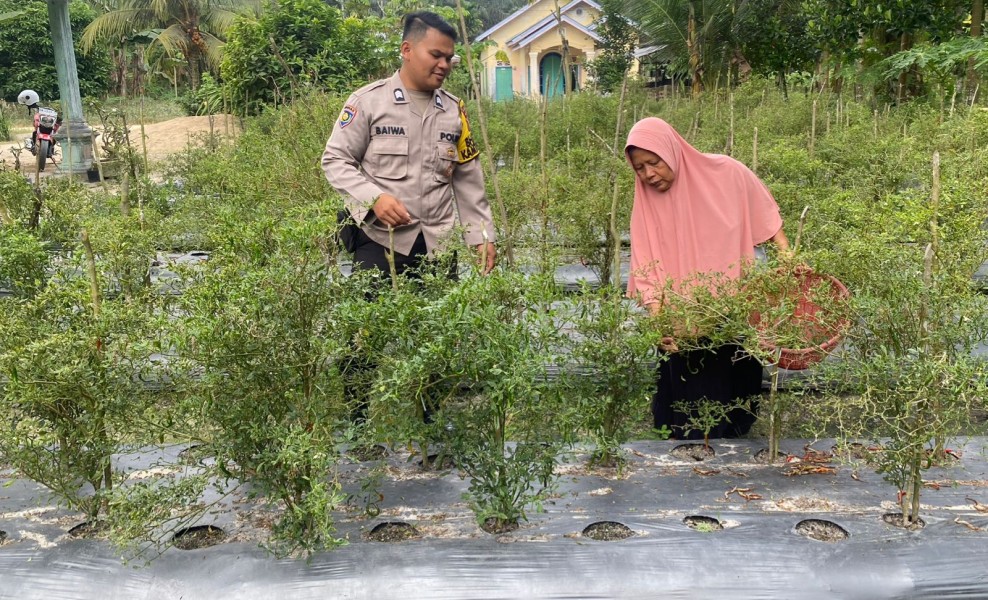 Bhabinkamtibmas Desa Payarumbai Dorong Warga Manfaatkan Pekarangan untuk Ketahanan Pangan Nasional