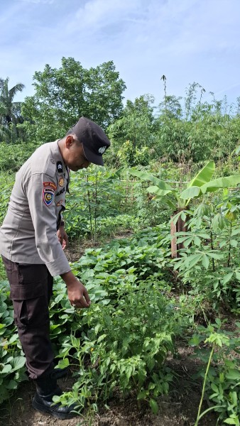 Pekarangan Rumah Disulap Jadi Lahan Produktif, Polisi Beri Dukungan