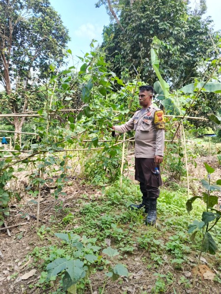 Polsek Batang Gansal Tinjau Pekarangan Bergizi, Dukung Program Asta Cita Ketahanan Pangan