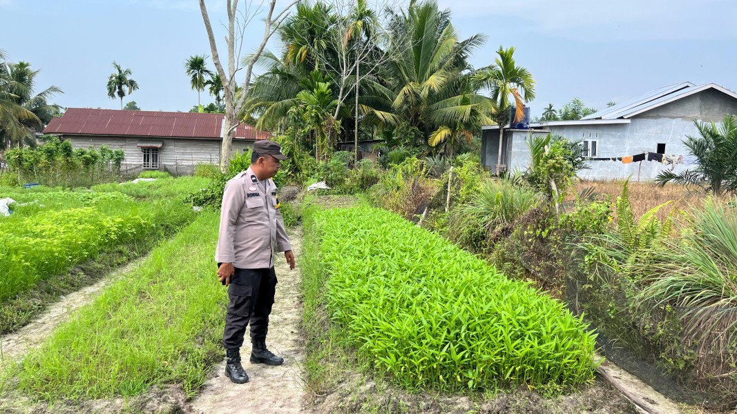 Hijaukan Pekarangan, Kuatkan Ketahanan Pangan Desa