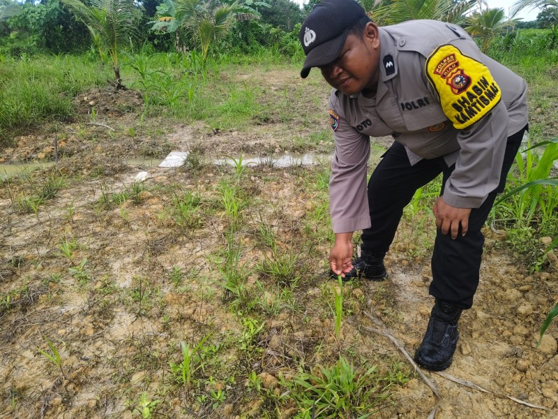 Dialog di Tengah Kebun, Bhabinkamtibmas Ajak Warga Optimalkan Lahan Demi Swasembada Pangan