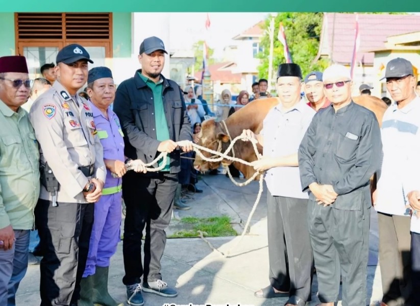 Terima Sapi Kurban dari Presiden dan Gubri, Bupati Ade Turun Langsung Menyembelih