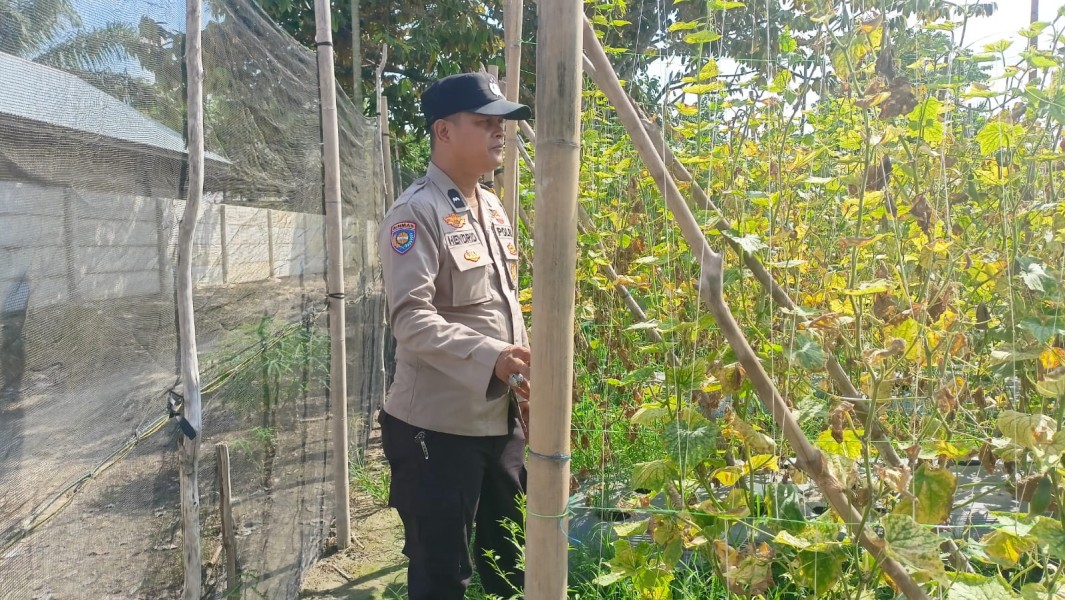 Polsek Seberida Aktif Dampingi Warga Kelola Pekarangan Produktif