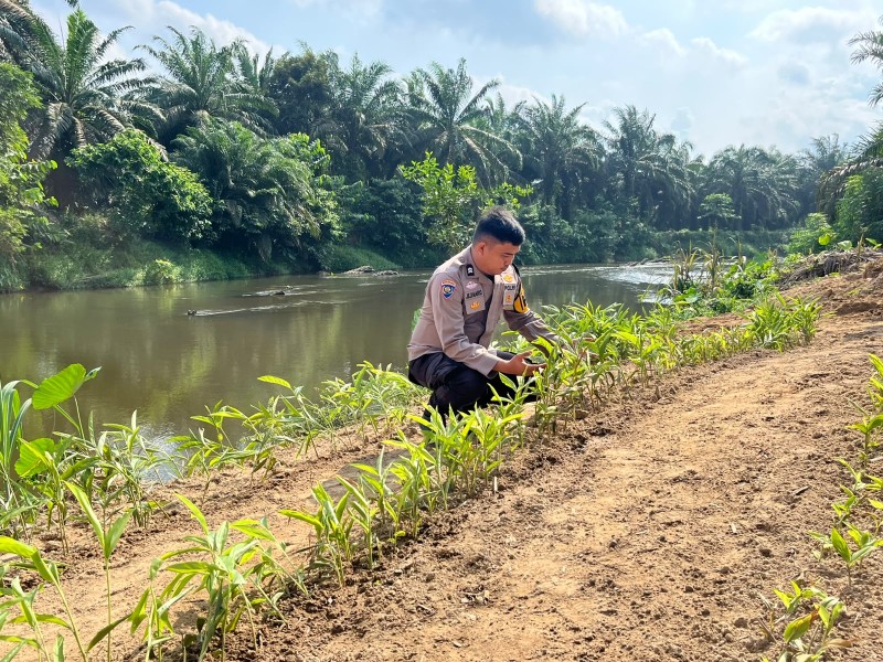 Polsek Batang Gansal Tinjau Pekarangan Bergizi, Dukung Program Asta Cita Presiden di Desa Seberida