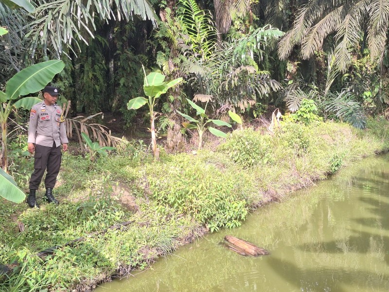 Kapolsek Seberida Apresiasi Pemanfaatan Pekarangan untuk Ketahanan Pangan