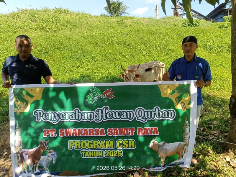 Hari Raya Idul Adha 1447 H, PT SSR Salurkan 5 Ekor Sapi Qurban untuk Masyarakat