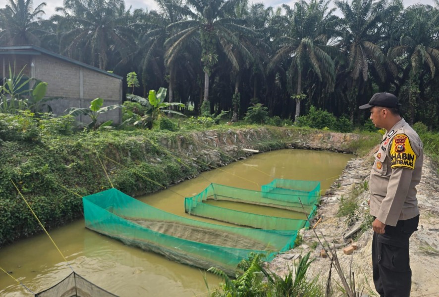 Lewat Budidaya Patin, Polsek Seberida Wujudkan Ketahanan Pangan Berbasis Masyarakat