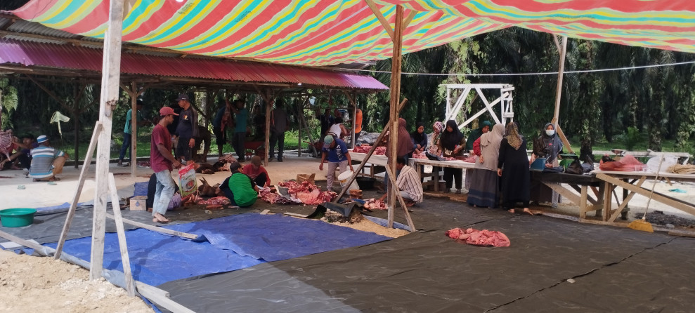 Kurban di Masjid Ar-Rahman Desa Petalabumi Tahun Ini Mengalami Penurunan