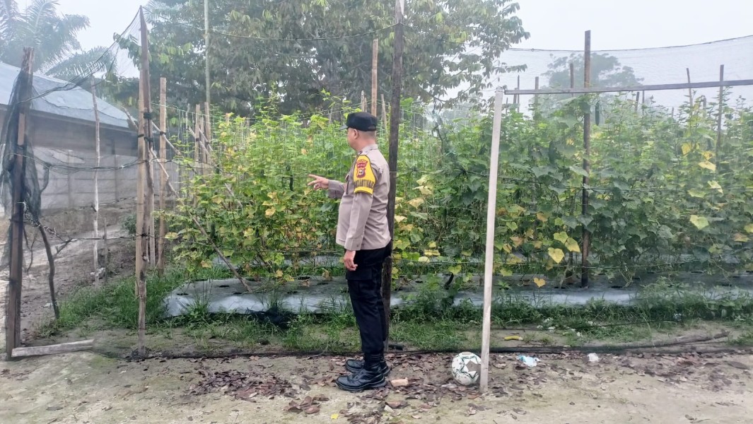 Polsek Seberida Dorong Ketahanan Pangan Melalui Budidaya Pare