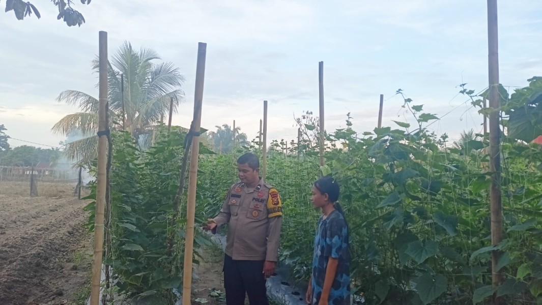 Polisi Ajak Warga Desa Bandar Padang Kembangkan Pekarangan Pangan