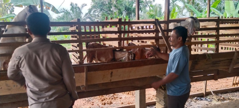 Peternakan Kambing Warga Desa Seberida Dukung Program Asta Cita Presiden RI