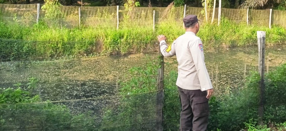Kolam Patin di Pekarangan Warga Jadi Contoh Ketahanan Pangan, Bhabinkamtibmas Payarumbai Beri Motivasi Masyarakat