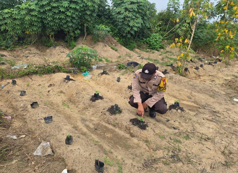 Bhabinkamtibmas Desa Petala Bumi Dorong Warga Manfaatkan Pekarangan untuk Ketahanan Pangan Nasional