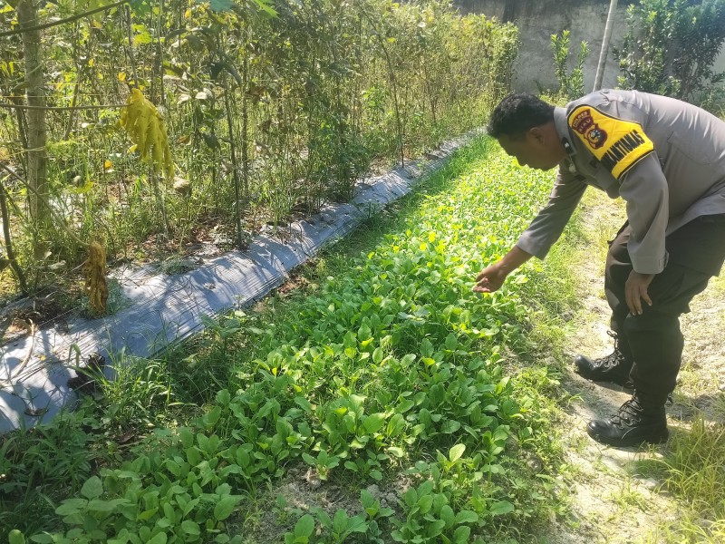 Polsek Seberida Terus Gencarkan Edukasi Ketahanan Pangan di Tingkat Desa