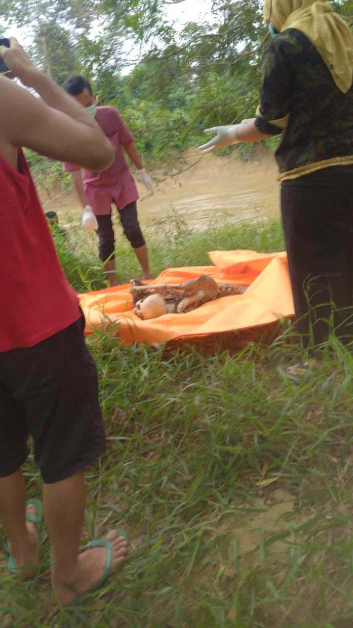 Masyarakat Inhu Digegerkan Penemuan Kerangka Manusia di Kecamatan Sebrida