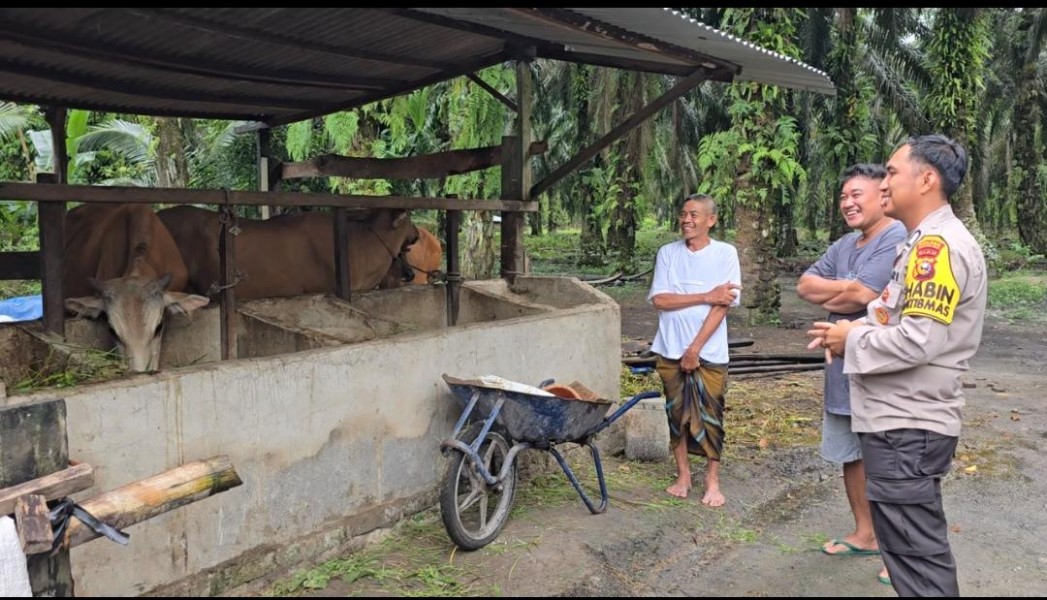 Dukung Program Nasional, Bhabinkamtibmas Sambangi Peternak Sapi di Petala Bumi