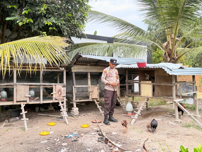 Pemanfaatan Pekarangan Terus Didorong, Bhabinkamtibmas Seberida Sambangi Peternak Ayam Kampung