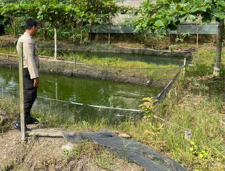 Polsek Seberida Dampingi Warga Budidaya Ikan Lele di Pekarangan Desa Payarumbai