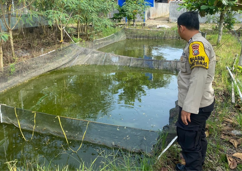 Bhabinkamtibmas Desa Payarumbai Dorong Ketahanan Pangan Melalui Budidaya Lele Skala Rumah Tangga