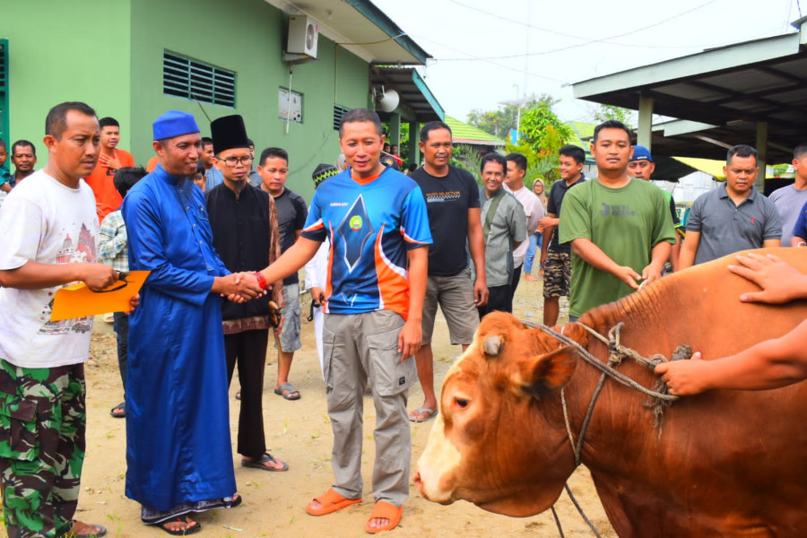Idul adha 1444 H, Kodim 0302/Inhu Potong 8 Ekor Hewan Kurban