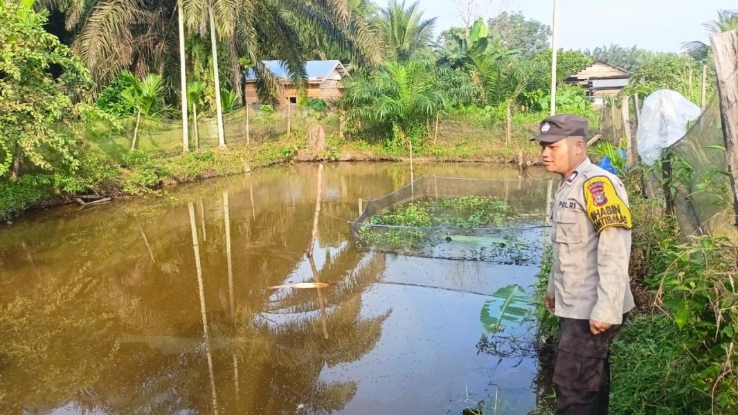 Dukung Ketahanan Pangan Nasional, Bhabinkamtibmas Payarumbai Optimalkan Lahan Pekarangan Warga Lewat Budidaya Ikan Patin