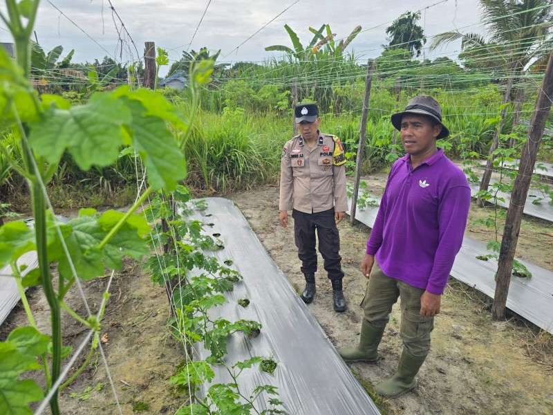 Dukung Ketahanan Pangan Nasional, Bhabinkamtibmas Polsek Seberida Sambang Warga dan Pantau Budidaya Tanaman Pare
