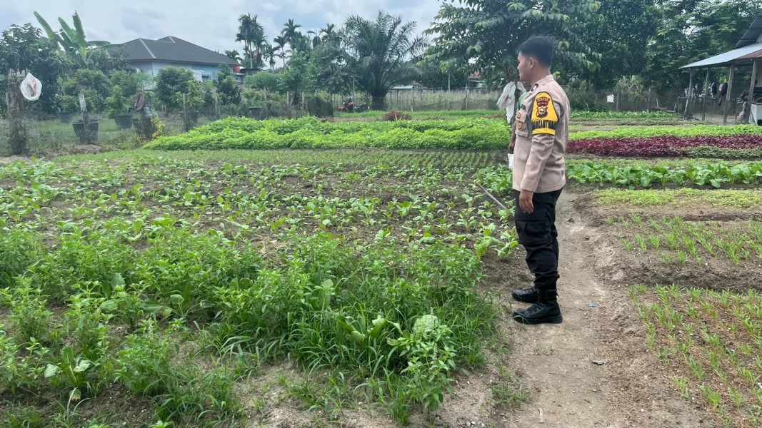 Hijaukan Pekarangan, Bhabinkamtibmas Payarumbai Ajak Warga Mandiri Pangan