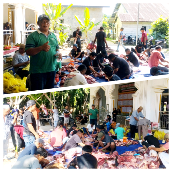 Tahun Ini Musala Al Ihwan (IKTD) Sembelih 7 Ekor Sapi, Bagikan 400 Kupon Daging Kurban