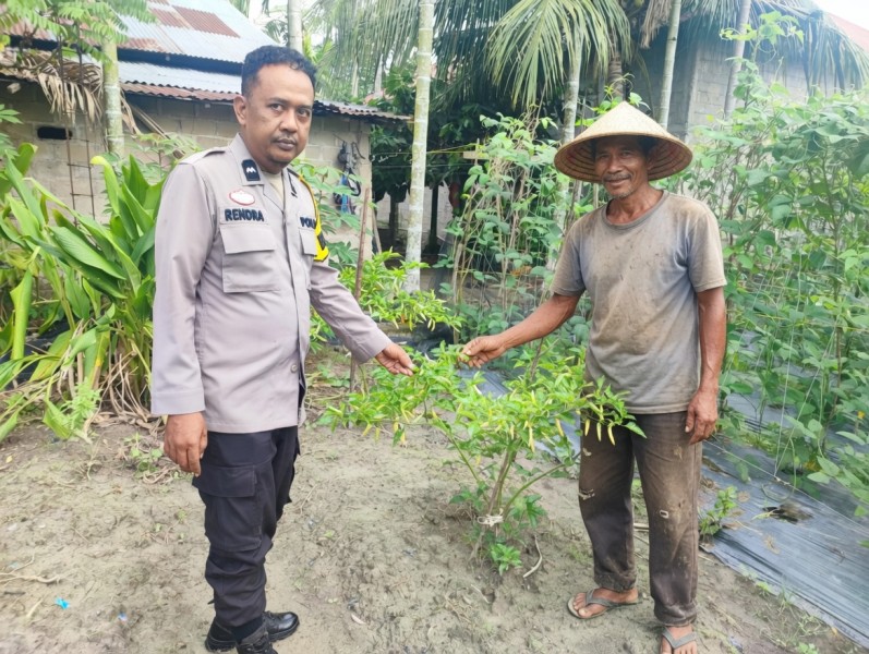 AIPDA Rendra Afridona Ajak Warga Kelola Pekarangan Secara Produktif