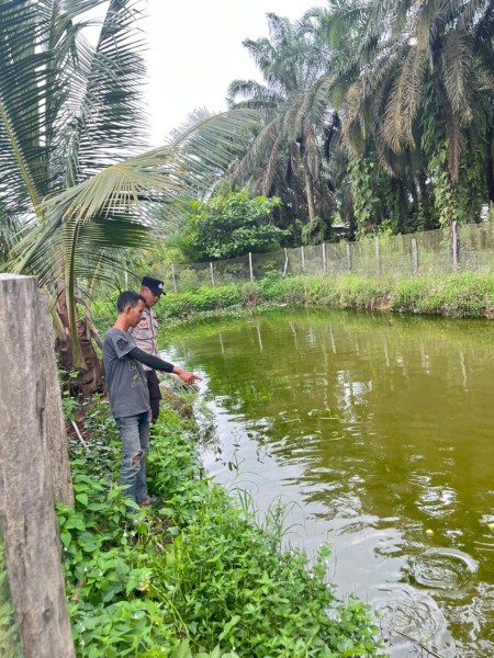Bhabinkamtibmas Polsek Seberida Dorong Ketahanan Pangan Melalui Budidaya Ikan Patin