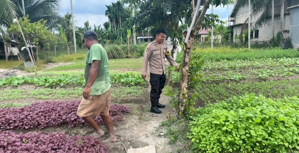 Ketahanan Pangan Nasional, Bhabinkamtibmas Payarumbai Motivasi Warga Bertani Mandiri