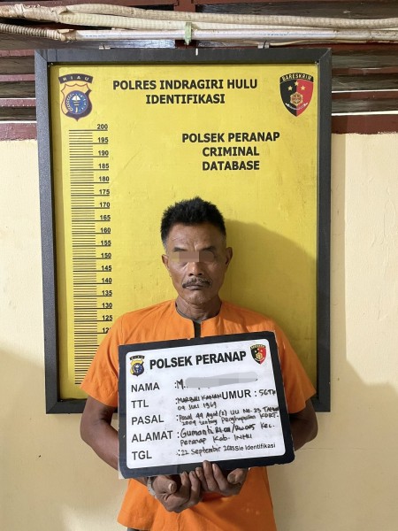 Pelarian Pembakar Istri Terhenti, Polsek Peranap Bekuk Pelaku Dalam Kebun Sawit