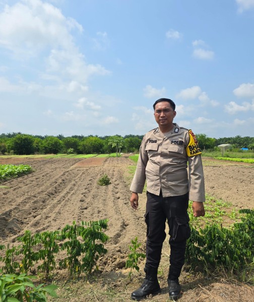 Lahan Pekarangan Disulap Jadi Kebun Sawi, Polisi Beri Dukungan kepada Warga