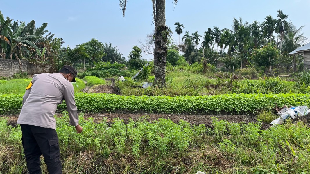 Bhabinkamtibmas Desa Bukit Meranti Ajak Warga Optimalkan Pekarangan untuk Dukung Ketahanan Pangan Nasional