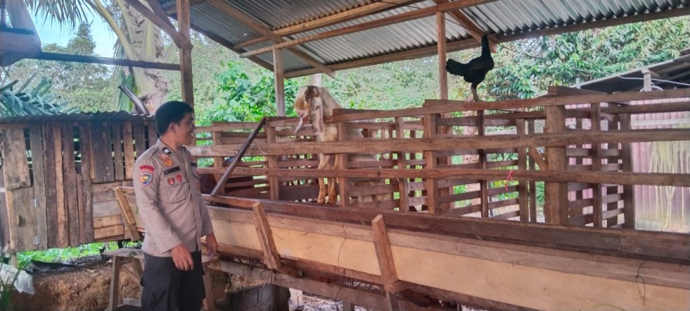 Polisi Penggerak Desa Tinjau Program Pekarangan Pangan Bergizi di Desa Seberida