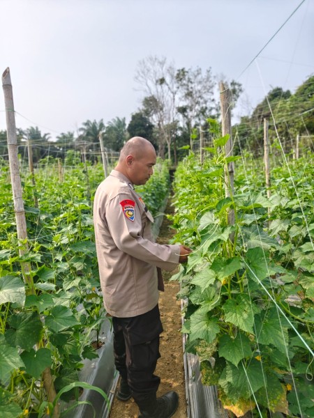 Polsek Batang Gansal Tinjau Pekarangan Bergizi, Dukung Ketahanan Pangan Warga Desa Seberida