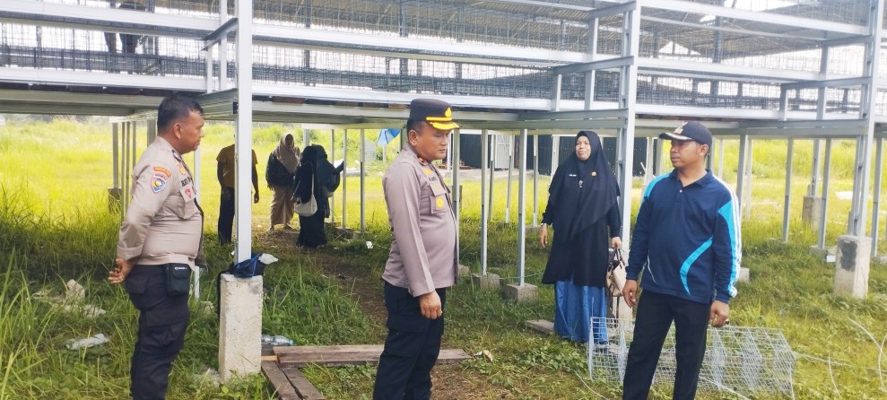 Camat dan Kapolsek Rengat Barat Tinjau Pembangunan Kandang Ayam Petelur Program Ketahanan Pangan di Danau Tiga