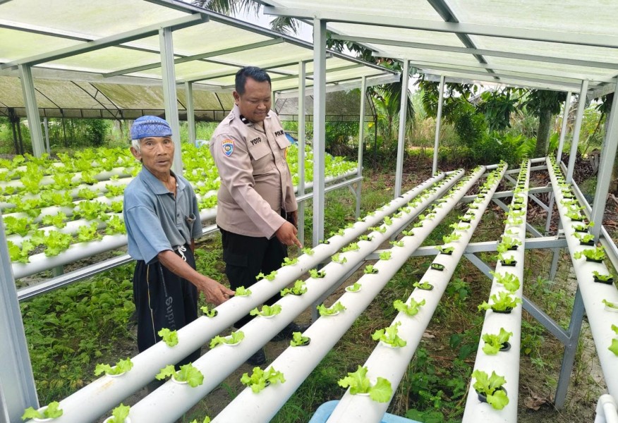 Dukung Program Ketahanan Pangan Nasional, Bhabinkamtibmas Pangkalan Kasai Ajak Warga Maksimalkan Lahan Pekarangan