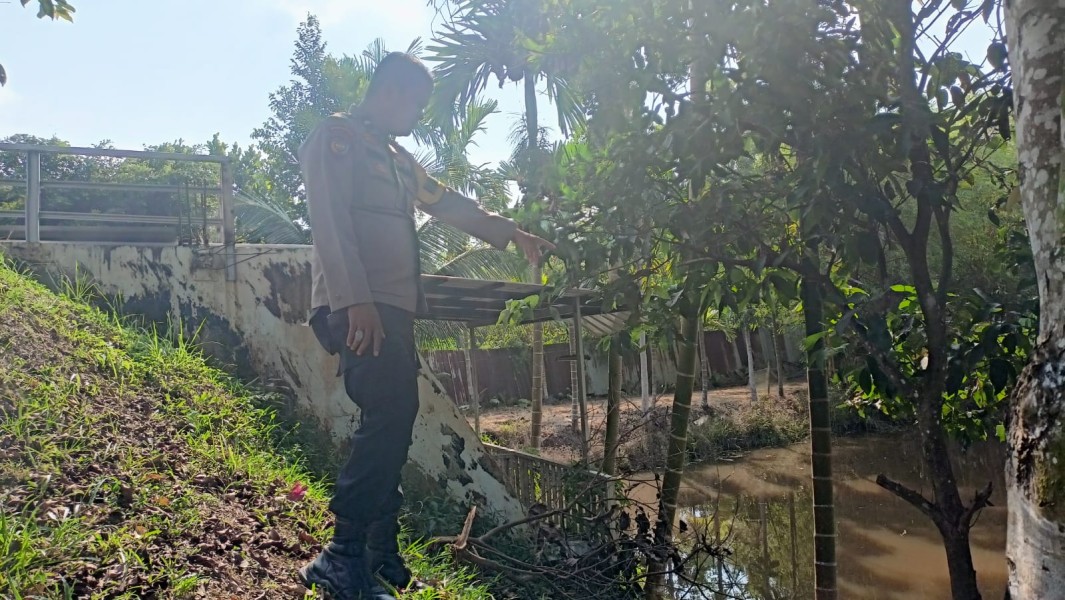 Sulap Pekarangan Jadi Kolam Ikan Patin, Warga Bandar Padang Dapat Apresiasi Bhabinkamtibmas